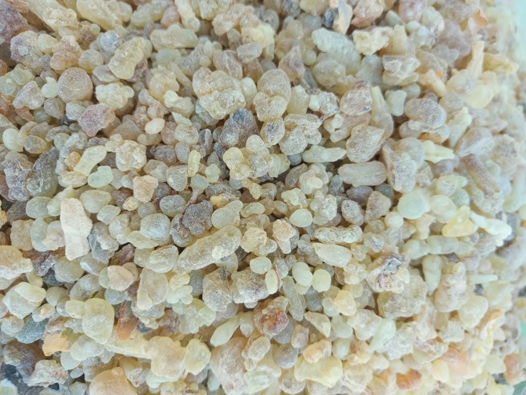 White Frankincense